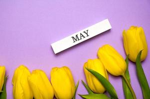 Spring banner with yellow tulips on paset purple background with may written on wooden block photo