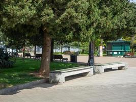 bancos en el parque verde primavera. el silencio del parque. bonito lugar tranquilo. foto