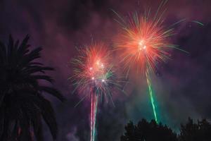 vista panorámica de los fuegos artificiales en forma de palma en el sur de francia foto