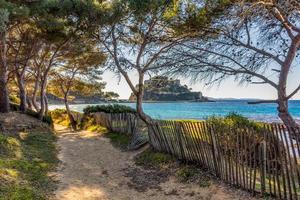 vista panorámica de la entrada a la playa con valla de madera y pinos en el sur de Francia foto