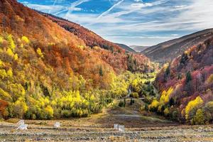 vista panorámica del bosque de colores otoñales en los alpes de transilvania en rumania durante el día soleado de octubre foto