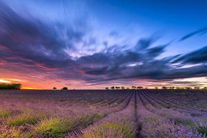 vista escénica de nubes en movimiento sobre un campo de lavanda en Provenza al atardecer foto