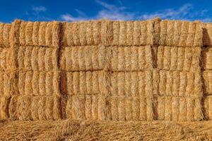 Close up of hay bales in Provence, south of France, in summer photo