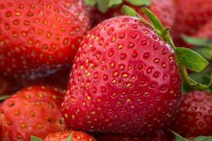 Close-up view of strawberries photo