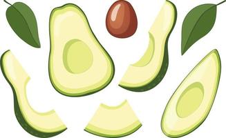 Set of different avocado slices vector