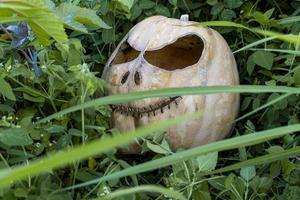 Glowing Halloween Pumpkin isolated on white background photo