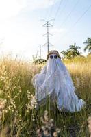 ghost standing around vegetation in broad daylight, at sunset, mexico photo