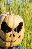 young woman with pumpkin head after cutting it off and putting a face on it, halloween, photo