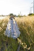 ghost at sunset receiving natural light, mexico latin america photo