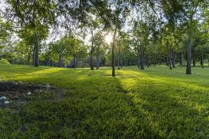 sunset in a park sunset, people picnicking around, trees filtering the sun's rays, guadalajara photo