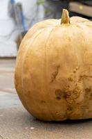 unrecognizable two people feet with white tennis shoes next to two pumpkins, mexico guadalajara photo