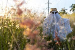 fantasma en el campo disfrutando del sol y el tren que pasa detrás, vías del tren foto