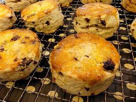 Freshly baked bread from the oven, fragrant and delicious. photo