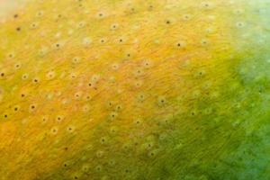 Detalle de la textura de la superficie de la piel del mango. foto