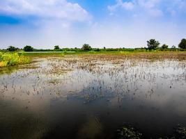 Reflection of sky on the water surface of wetland photo