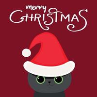 Funny cat in christmas hat on red background. Merry Christmas. Handwriting. Lettering. Hand drawn kitty vector