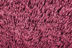 Brown bamboo texture background coming from natural bamboo straws. The oriental asian roofing has a beautiful yellow pattern, fence texture Image toned in Viva Magenta, color of the 2023 year photo