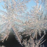 Snowflakes frost rime macro on window glass pane photo