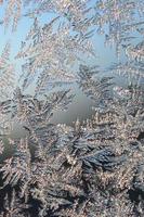 Snowflakes frost rime macro on window glass pane photo