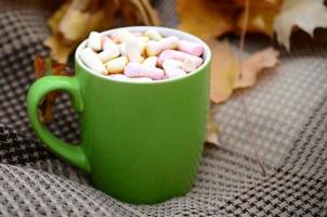 hojas de otoño y una taza de café caliente y humeante se encuentran en cuadros escoceses al aire libre foto