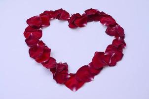 Dark red rose petals on pastel lilac background. Valentine's day backdrop with copy space photo