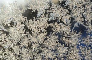 Snowflakes frost rime macro on window glass pane photo