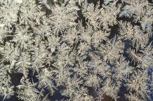 Snowflakes frost rime macro on window glass pane photo