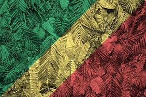 Congo flag depicted on many leafs of monstera palm trees. Trendy fashionable backdrop photo