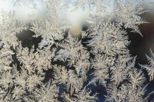 Snowflakes frost rime macro on window glass pane photo