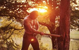 Process of cutting the tree by using the axe. Handsome shirtless man with muscular body type is in the forest at daytime photo