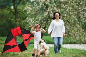 Dog scares kid. Positive female child and grandmother running with red and black colored kite in hands outdoors photo