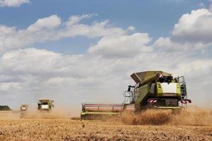 Large combine harvesters working in agriculturic field at summertime photo