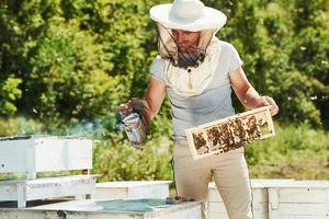 Green trees behind. Beekeeper works with honeycomb full of bees outdoors at sunny day photo