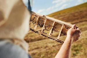 Close up view. Beekeeper works with honeycomb full of bees outdoors at sunny day photo