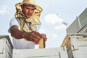 In protective mask. Beekeeper works with honeycomb full of bees outdoors at sunny day photo