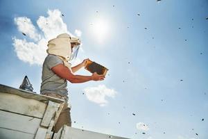 Warm weather. Almost clear sky. Beekeeper works with honeycomb full of bees outdoors at sunny day photo