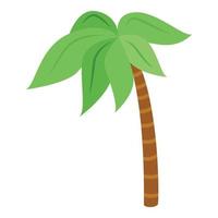 Palm tree icon, isometric style vector