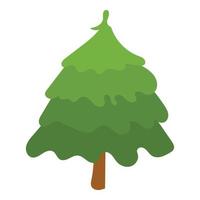 Park fir tree icon, isometric style vector