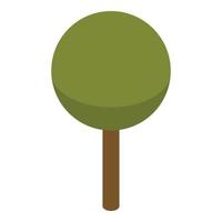 Green plant tree icon, isometric style vector