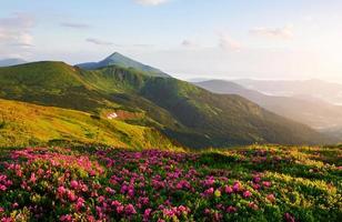 Meadow illuminated with sunlight. Majestic Carpathian mountains. Beautiful landscape. Breathtaking view photo