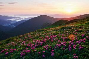 Warm weather. Majestic Carpathian mountains. Beautiful landscape. Breathtaking view photo