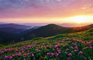 Late sunbeams. Majestic Carpathian mountains. Beautiful landscape. Breathtaking view photo