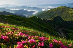 Mountain ridge. Majestic Carpathians. Beautiful landscape. Breathtaking view photo
