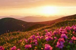 Orange colored sunset. Majestic Carpathian mountains. Beautiful landscape. Breathtaking view photo