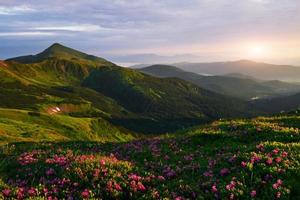 Summer landscape. Majestic Carpathian mountains. Breathtaking view photo