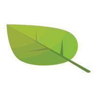 icono de hoja de álamo, estilo isométrico vector