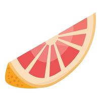 Slice grapefruit icon, isometric style vector