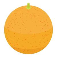Whole grapefruit icon, isometric style vector
