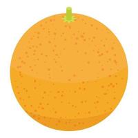 Whole grapefruit icon, isometric style vector