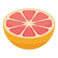 Half grapefruit icon, isometric style vector